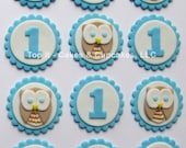 Fondant Cupcake Toppers - Owls First Birthday (Boy)