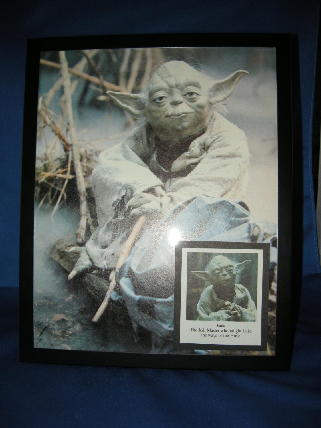 Star Wars - Jedi Master Yoda 8x10