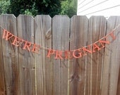 We're Pregnant announcement banner