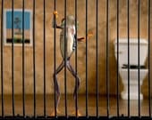 Jail Art Frog in Prison, Prison Art, Jail Cell with a Tree Frog
