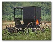 AMISH BUGGY, Landscape Photography, Rural, Rustic, Farm, Fine Art
