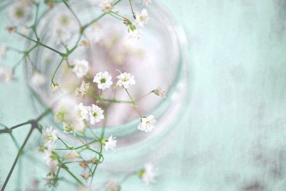 Mint In The Morning Signed Print, White Baby's Breath Photo, Mint Green Shabby Chic Decor, Color Fine Art Photography Wall Print - MySweetReveries