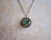 Lichen Terrarium Locket by Heron and Lamb