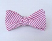 Seersucker Bow Tie