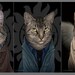 Supernatural Cats, 4x6 postcard prints