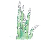 Asparagus Vegetable Watercolor Art Drawing 8x10" Print (unframed)
