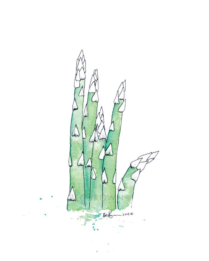 Asparagus Vegetable Watercolor Art Drawing 8x10" Print (unframed)