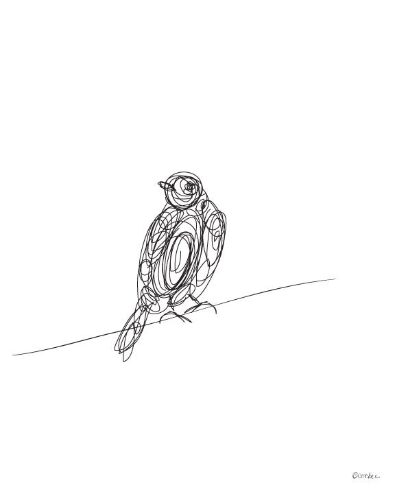 Bird Illustrated Line 2 - Digital Drawing