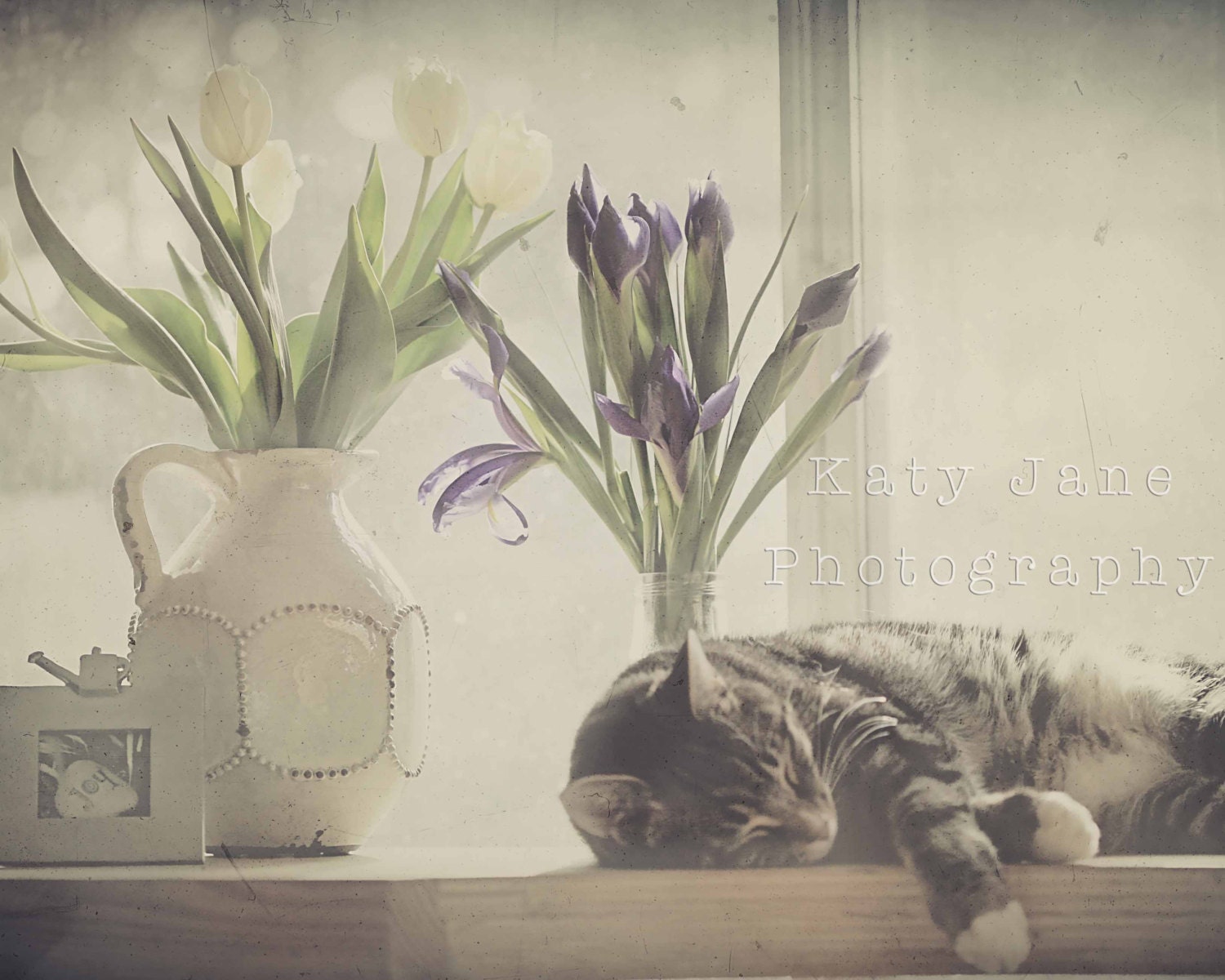 Cat Photo-flower photography-  spring flowers, blue, iris print,  white, dreamy print, 8x10, kitchen chic - KatyJanePhotography