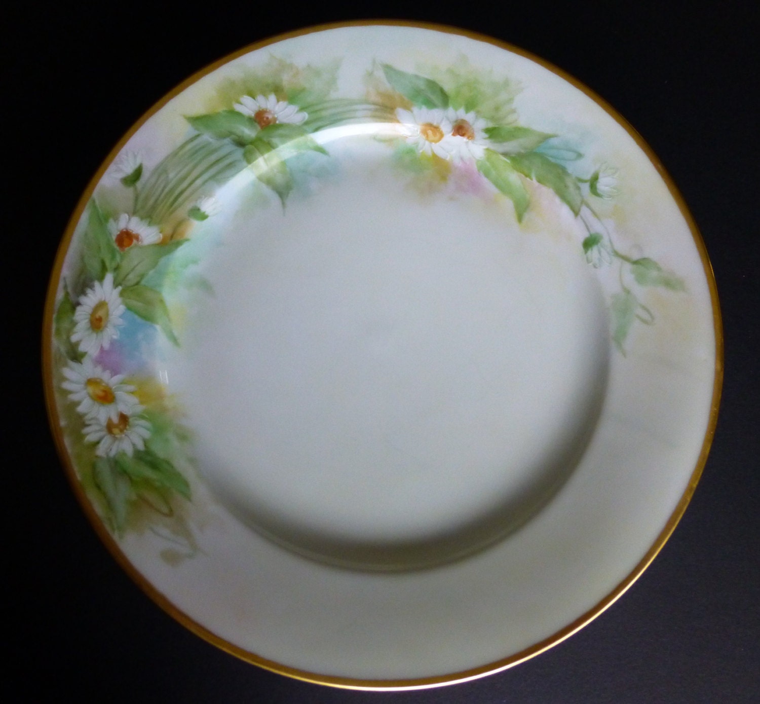 MZ Austria Hand Painted Daisy Cabinet Plate c1900