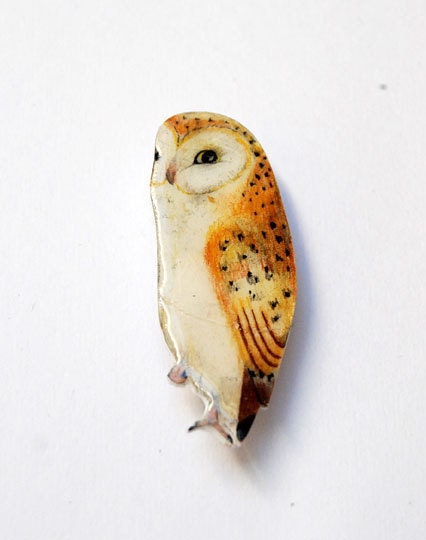 Barn Owl/ hand drawn/