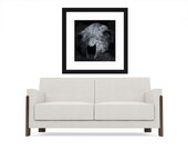 Still Life Black and White Photograph, Dark Art Photo, Halloween Decor, Skull, Macabre Decor, Square Fine Art Print