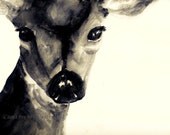 Deer Portrait, Black and White, 8 x 10 inch print of watercolor painting