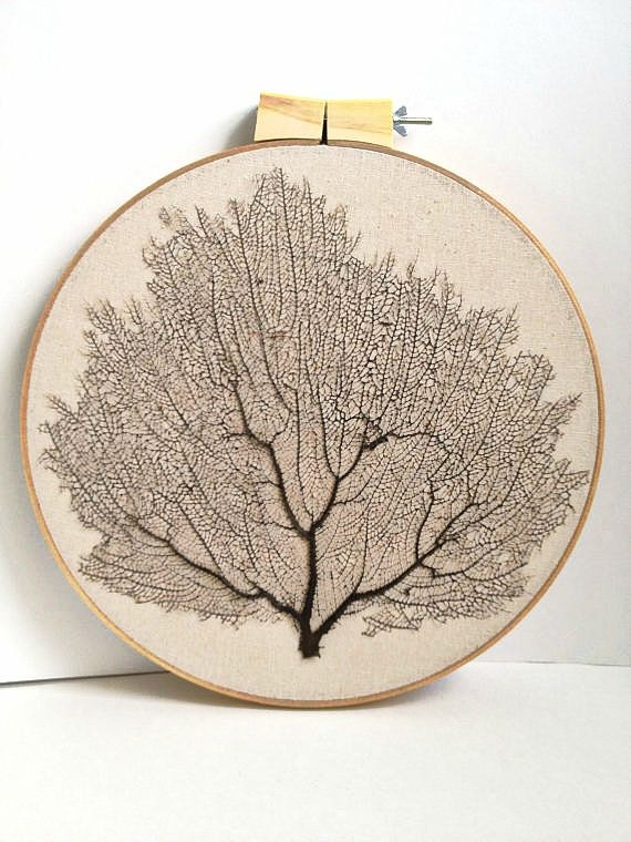 Framed natural Sea Fan coral hand-stitched stretched on embroidery hoop - beach chic,cottage. Great summer gift. Summer decor.