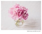Pink Peony Bouquet in Glass Vase -- Floral Photography, Fine Art Print, 5x7 Print, Home Decor, Nursery Decor, Pink and White