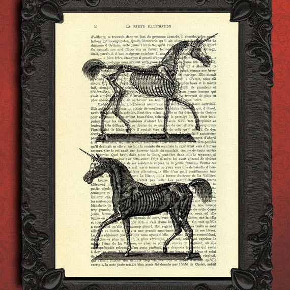 unicorn anatomy dictionary art - horse dictionary art print, unicorn art print, unicorn collage