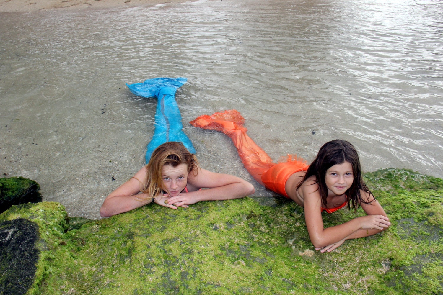 Mermaid Tail (only)