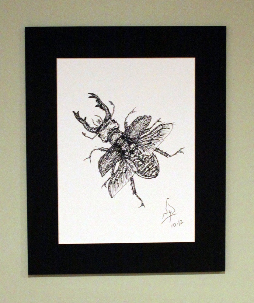 Beetle Print // Matted Pen and Ink Drawing