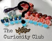 The Curiosity Club - 3 Months - Monthly Bead Club