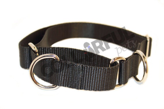 Martingale You Choose Color/Design Large Adjustable Nylon Dog Collar