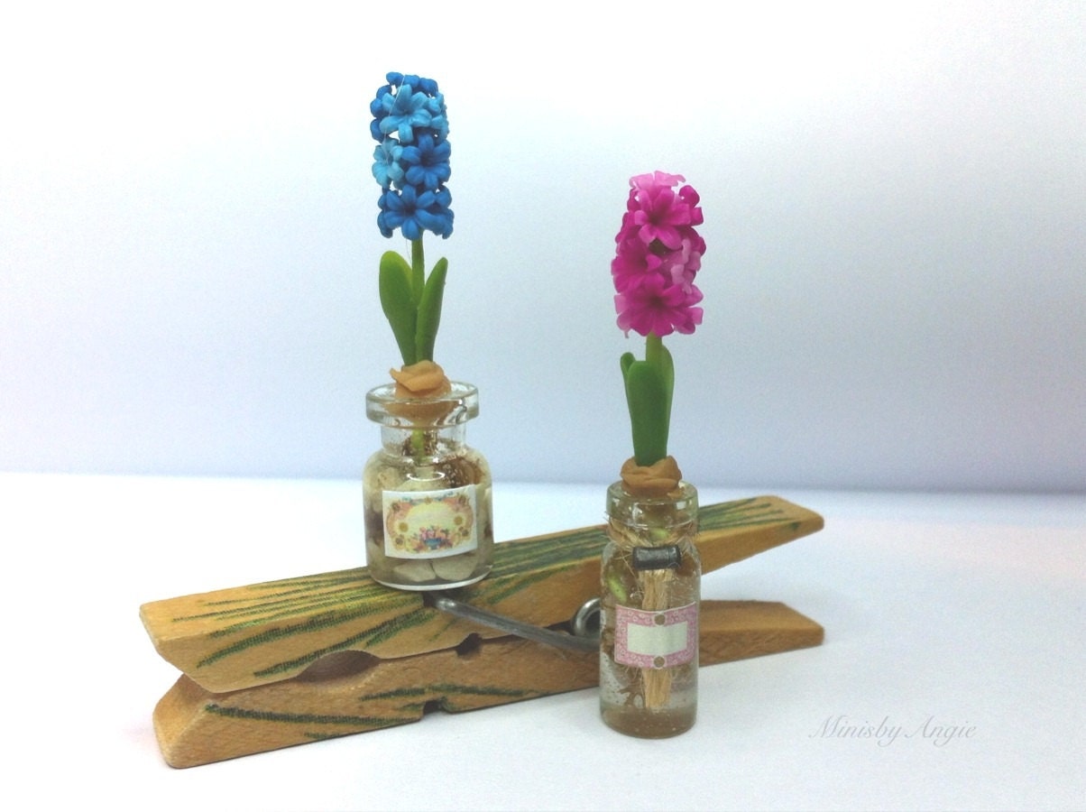 Dolls Miniature plant. Clay hyacinth in glass jar, Dolls house decoration. room box. Miniature collectors.