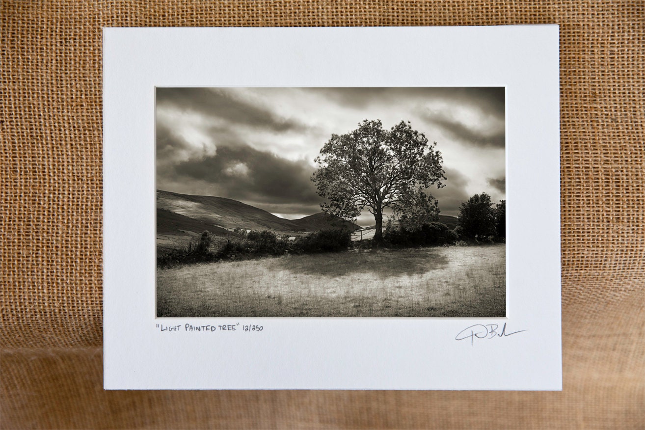 Overstock Sale, Ireland Photograph, 5x7 1/2" Matted Print, 20% Off- "Light Painted Tree",  Limited Edition Print