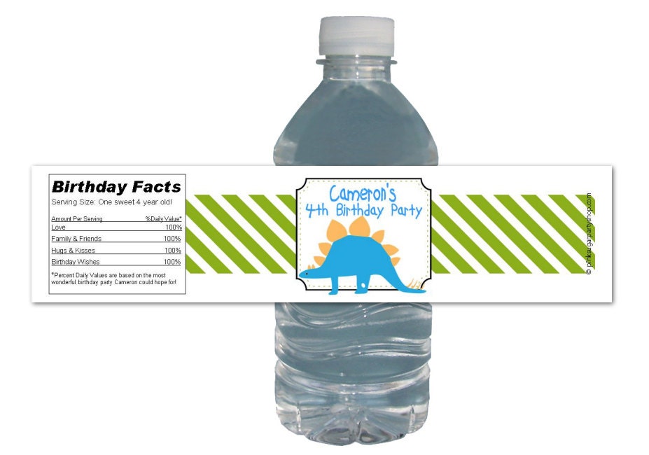Dinosaur Party (15ct) Waterproof Water Labels Bottle Birthday Party Baby Shower Il_570xn