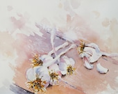 Vegetable Food Art original watercolor art PRINT garlic kitchen cooking Italian food