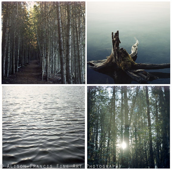 Moody Lake Set: A lake ripples quietly at dusk, film photography, vintage photography, cabin art, trees, nature, romantic, cottage decor
