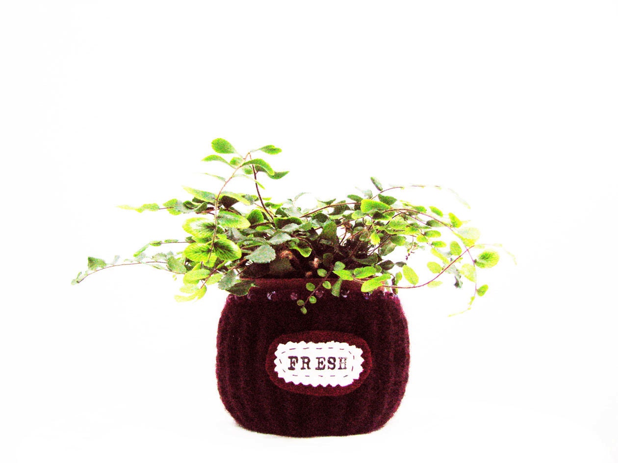 Spring Flower Pot Burgundy Pink Wool Textured Striped Pattern Home Decor