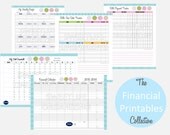 FINANCIAL PRINTABLES COLLECTION - Digital Instant Download - Budget & Bill Paying Organizing Kit
