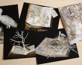 Set of 5 Postcards - Unique Handmade Book Sculptures - Fine Art Photography