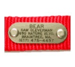 Brass Nameplate "Quiet Collar" Pet Dog ID Tag Engraved Identification