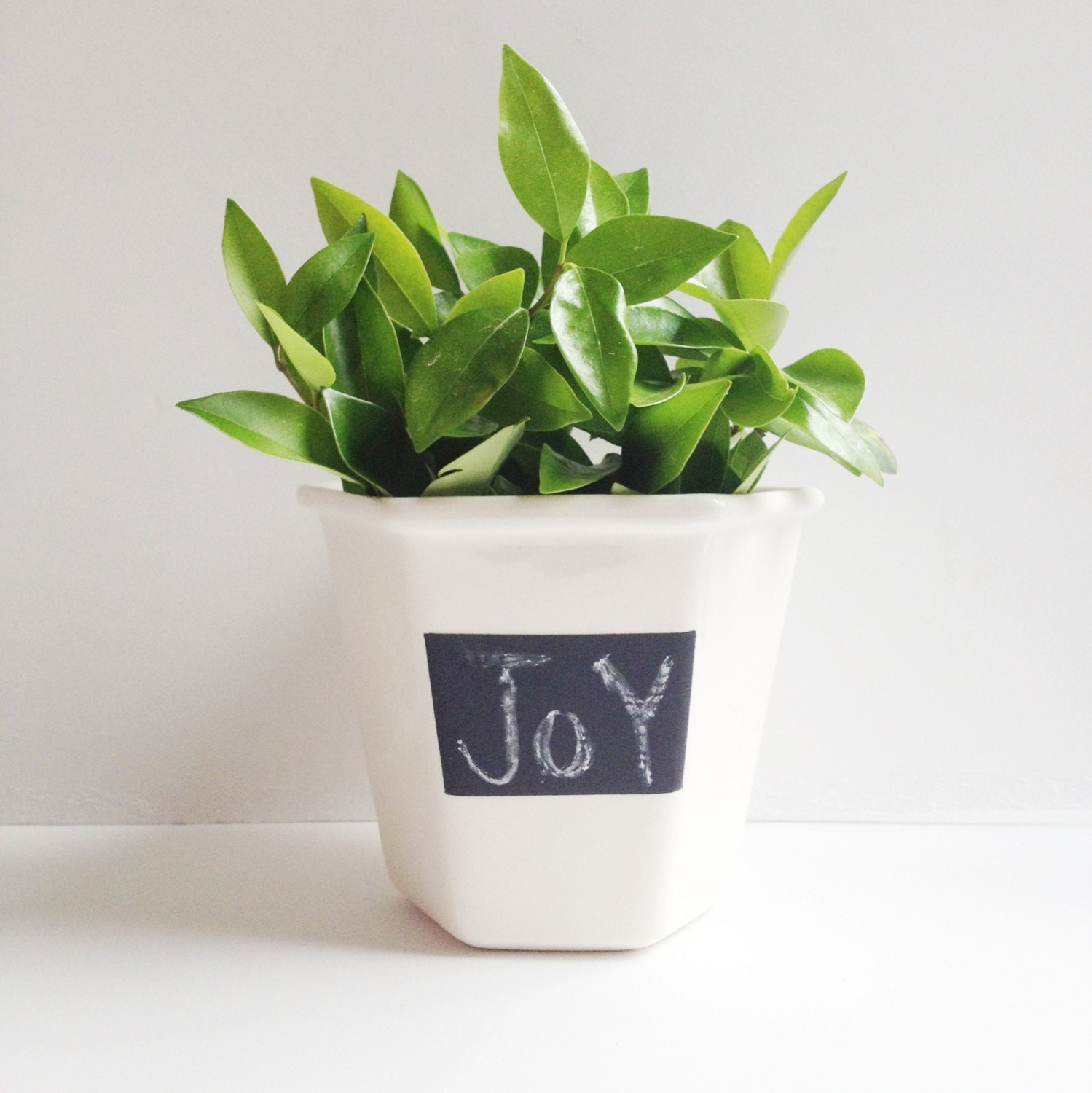 Handmade Ceramic Plant Pot - Plant Pot - Chalkboard Paint