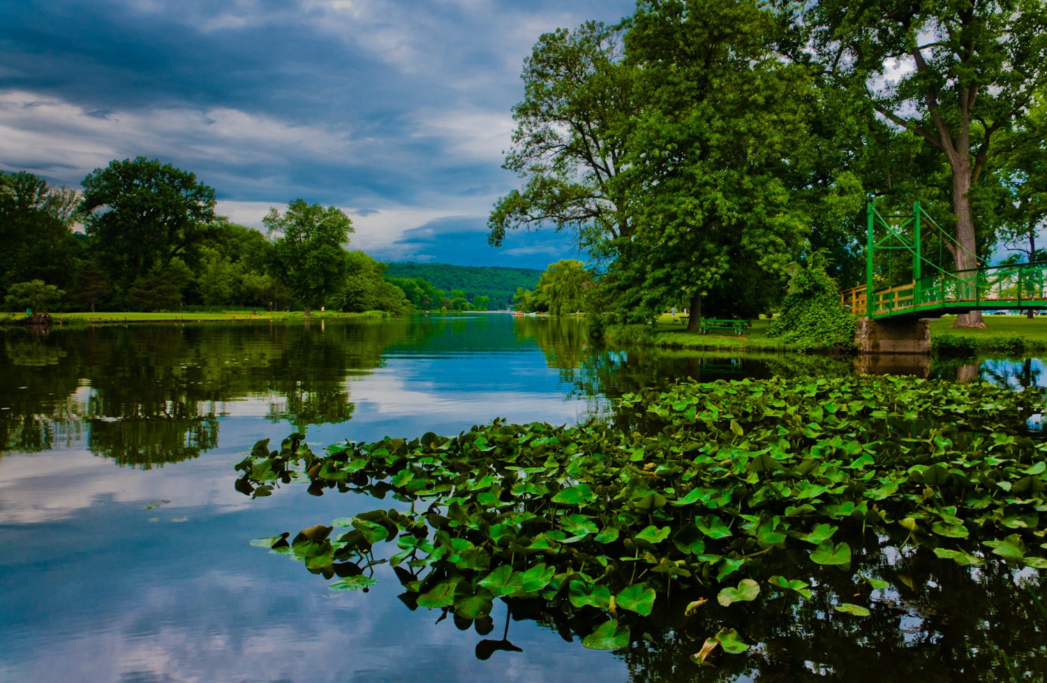 Lily pads and storm cloud reflections in a pond, Ithaca, New York  - Nature Photography Fine Art Print or Gallery Wrap Canvas Home Decor