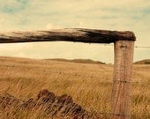 Rustic Country Fence, Fine Art Print, 8x10, Rustic Home Decor, Shabby Chic Photography