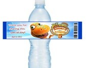 Dinosaur train personalized birthday party water bottle labels