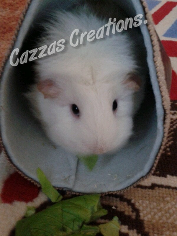 Small pet bed/hidaway handmade warm thick fabric. Suitable for Guini pigs, Rodents, Ferrets. Lots of cover fabrics available.