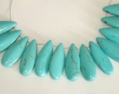13 Turquoise Pendant Pieces 25x10mm Perfect for Earrings or a Necklace