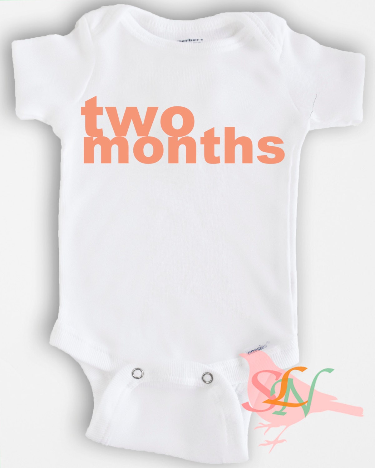 Cute baby Onesie Bodysuit- Funny Quote - Baby Boy or Girl Clothing - Monthly Onesie Set for first 12 months - Sizes Newborn to 12 Months