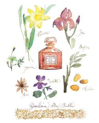 Vintage Guerlain perfume print, fragrance ingredients, floral, watercolor illustration, 8X10, Paris, France