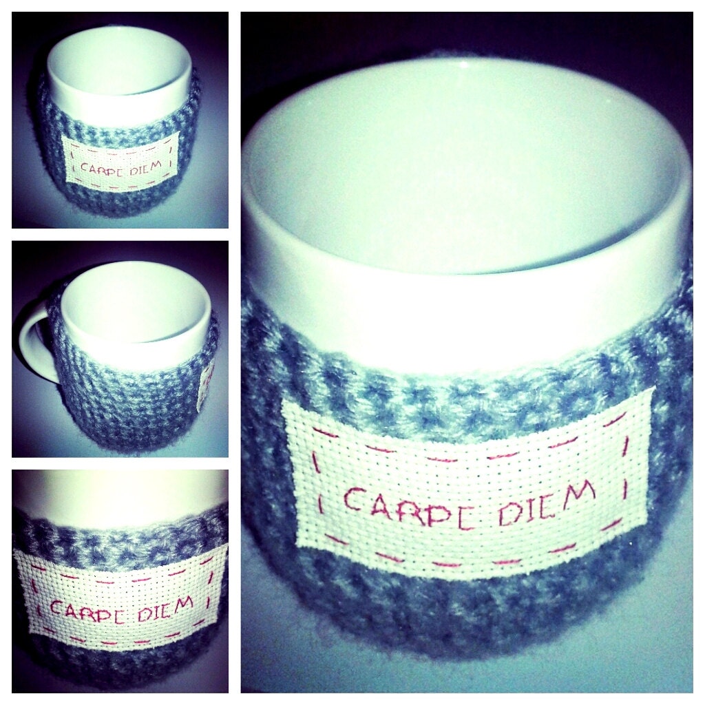 Hand made Crochet Cozy Cover Tea  tea mug cover cosy funny gray red Carpe Diem