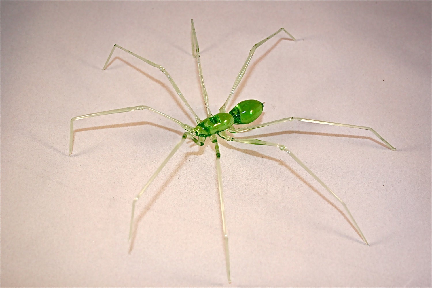 Glass Spider