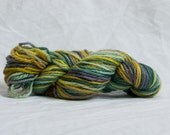 Hand Painted 100% Wool Yarn - 100 yards of "Front Yard FlowerBed"