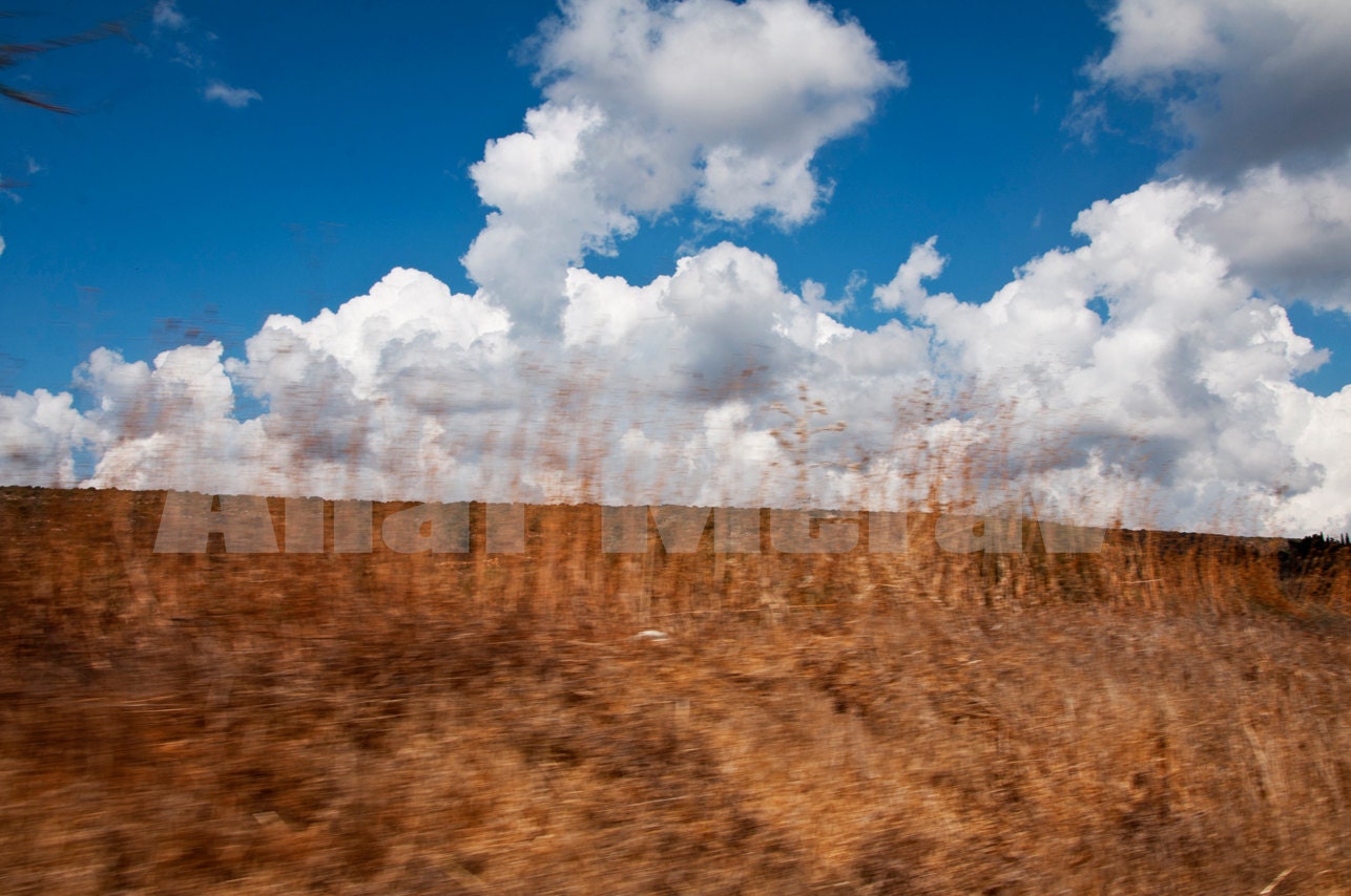 Nature photography , blue sky with clouds,Wheat Field  , Spring photo ,Landscape , Israel, Print, Art, Decorative art, 8X10inc  Print