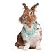 Becca and Papa Rabbit avatar