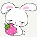 Cherry Cute Shop