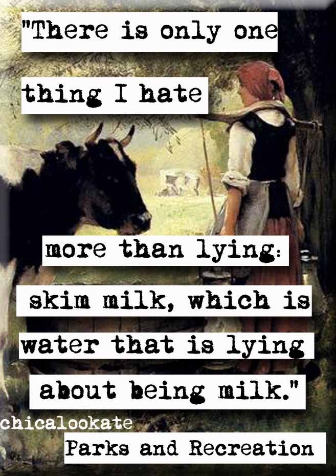 Parks and Recreation Skim Milk Quote Magnet or Pocket Mirror (no.370)