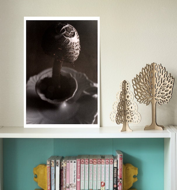 Growing Delicately - Discount 13x19 Print - FREE SHIPPING Mushroom Cap Cream White Brown Porcelain Holder Still Life Surreal Film Nature