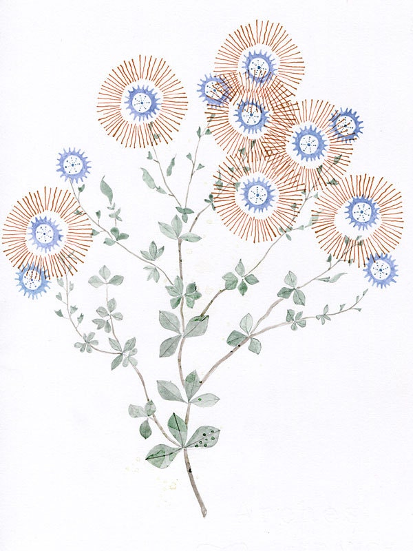 Wandering Summer - Print